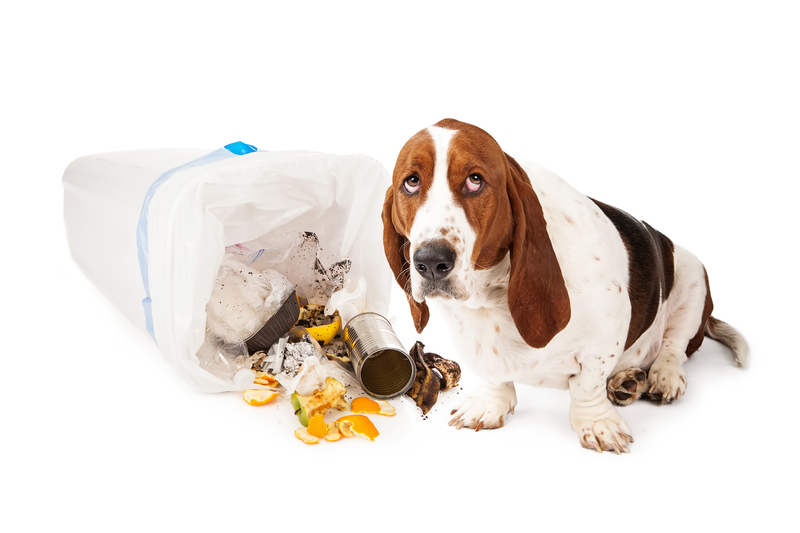 waste removal waste disposal